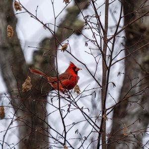 Meet your Posher, Maggie